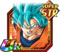 [Fighting for Victory] SS God SS Goku
