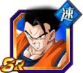 A New Decision Ultimate Gohan